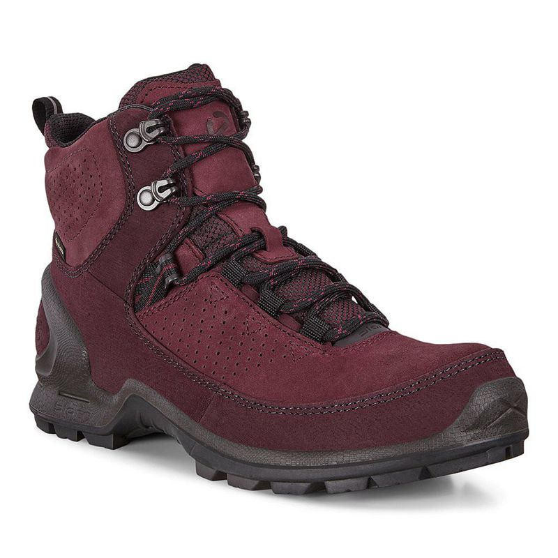 Botas Ecco Biom Terrain Para Mujer,Moradas,523184-CBK